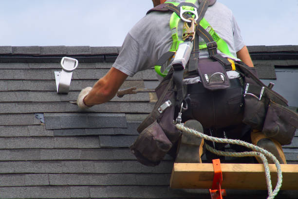 Best Metal Roofing Contractor  in Royal Pines, NC