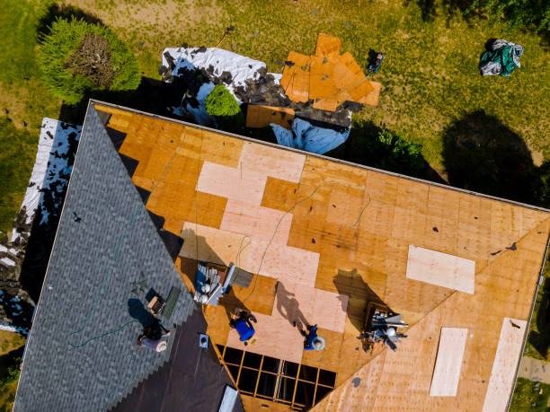 Best Gutter Installation and Roofing  in Royal Pines, NC