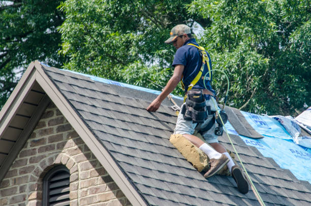 Roof Gutter Cleaning in Royal Pines, NC